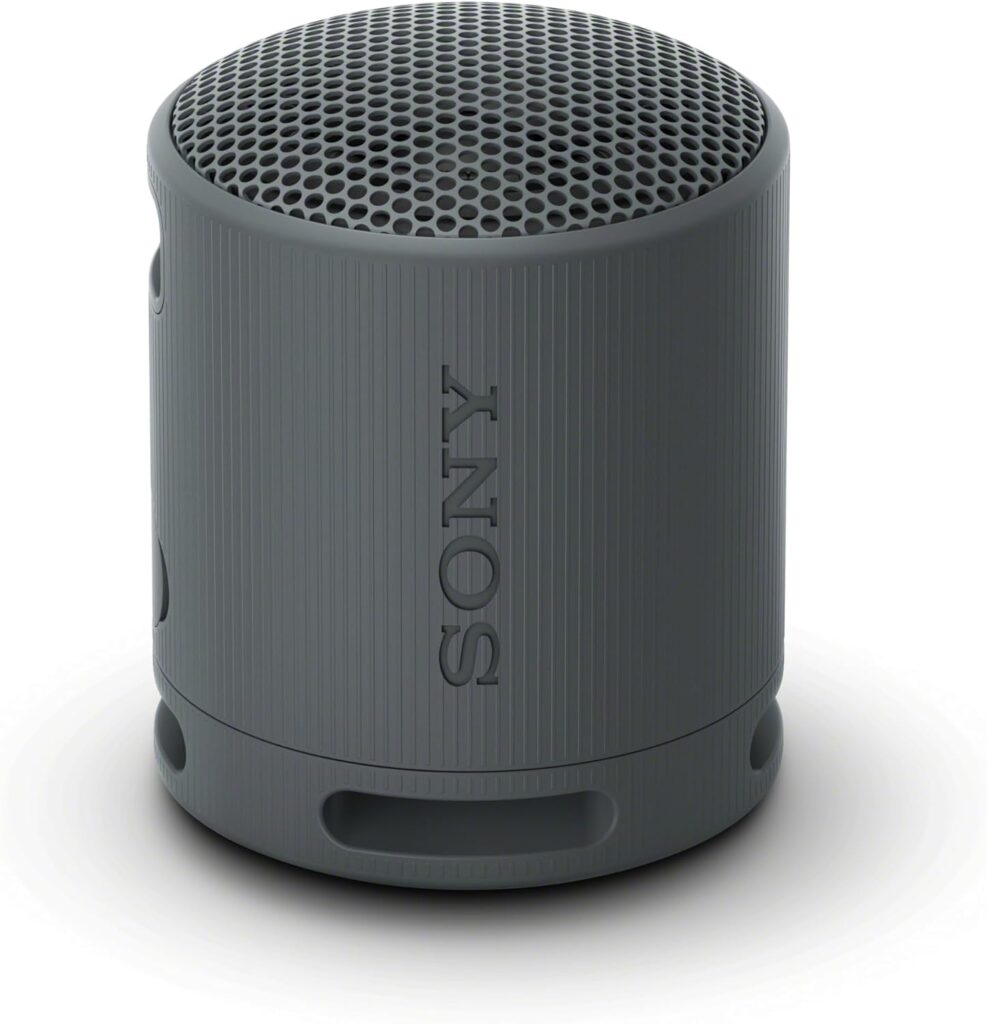 Sony SRS-XB100